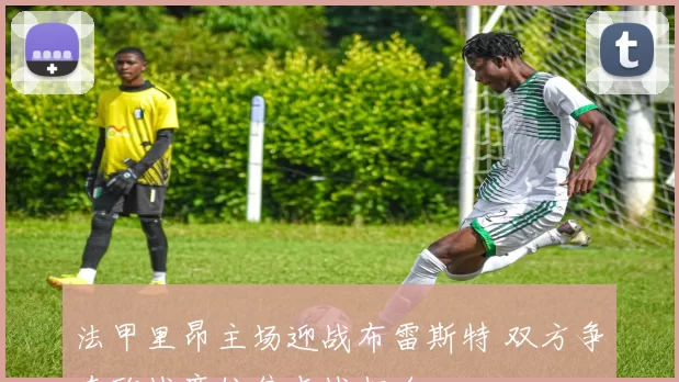 法甲里昂主场迎战布雷斯特 双方争夺欧战席位焦点战打响